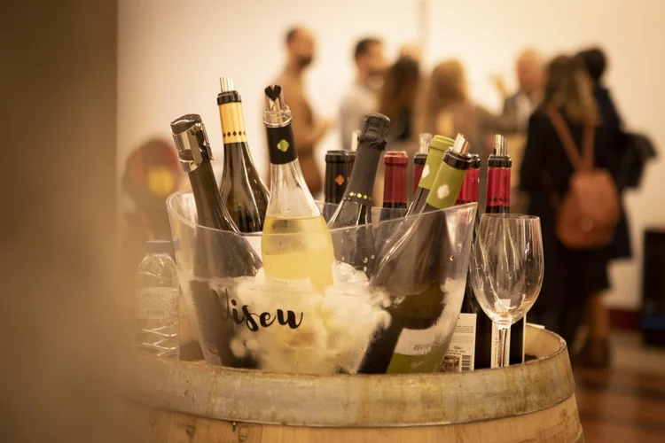 Experiência enoturística com vinho do Dão em Viseu